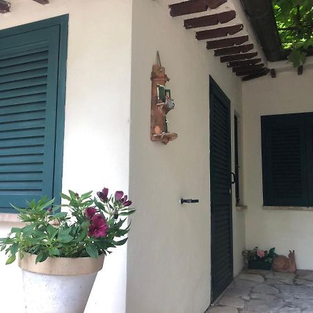 B&B Uva Fragola Perugia Exteriör bild