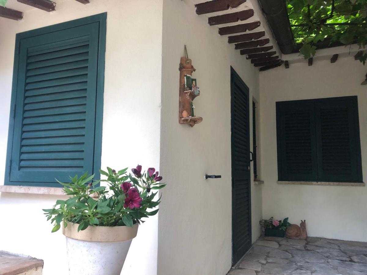 B&B Uva Fragola Perugia Exteriör bild